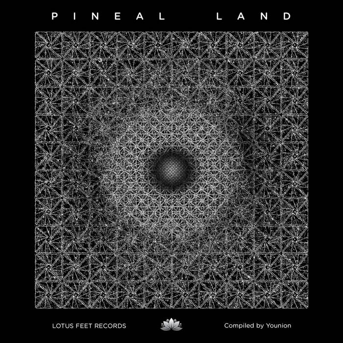 Lotus Feet Records - .Various - Pineal Land